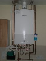 Condensing gas boiler with vertical flue